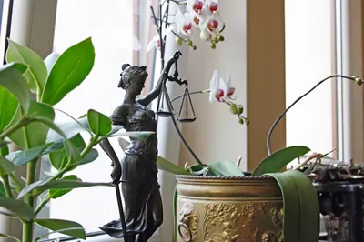 Adwokat Anna Karwowska-Bednarek Kancelaria Adwokacka